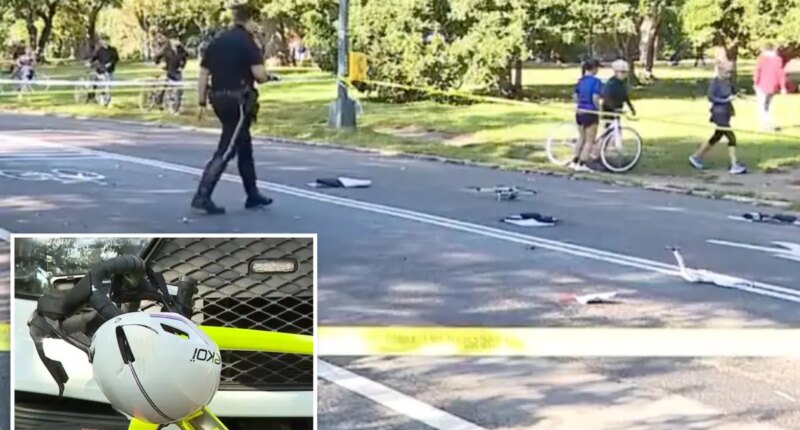 Elderly cyclist, 71, killed after hitting dog, flipping over handlebars in Central Park