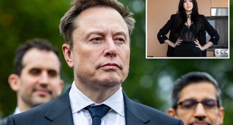 Elon Musk and estranged baby mama Ashley St. Clair skip custody court date as lawyers negotiate child support