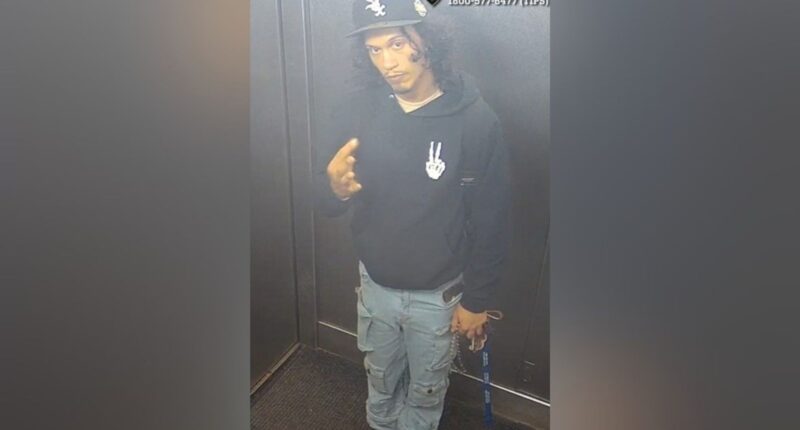 Ex-boyfriend arrested, charged after allegedly pushing young mom, baby off NYC balcony: Police