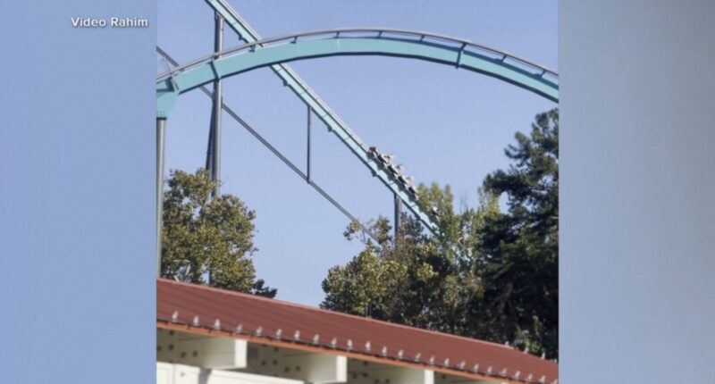 Eyewitnesses describe rider's harrowing fall in fatal Six Flags roller coaster incident