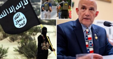 FBI arrests boy, 17, for plotting to assassinate Texas congressman on behalf of ISIS