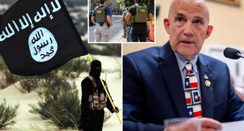 FBI arrests boy, 17, for plotting to assassinate Texas congressman on behalf of ISIS