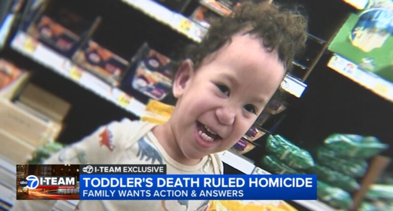 Felicia Hirn charged in 3-year-old son Leland Chipoco's murder over a year after boy's death in Chicago