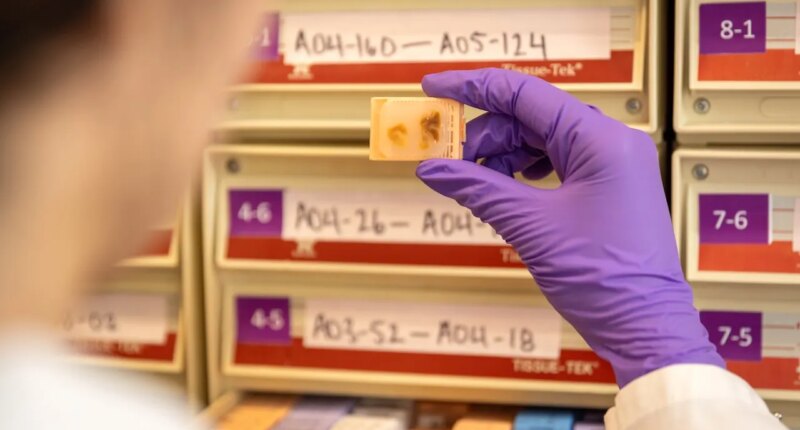 Fetal tissue supplier billed $765 procurement fee per organ, warn paperwork could imply illegal sales: records