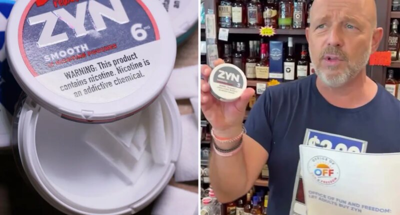 Flavored nicotine pouches could return to California under Steve Hilton