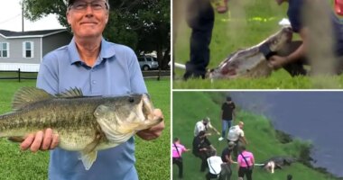Florida fisherman Steven Hamilton's final moments before being killed by alligator