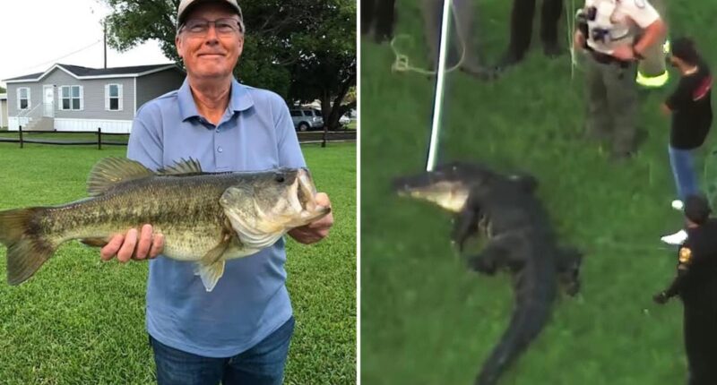 Florida fisherman slipped and fell after hearing 12-foot alligator creeping up on him