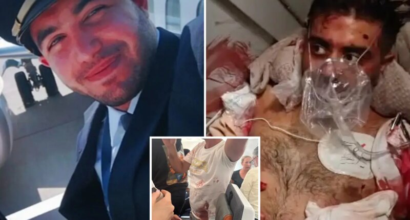 Flydubai co-pilot used crash ax to hack at pilot in attempted 'terrorist attack': UAE official