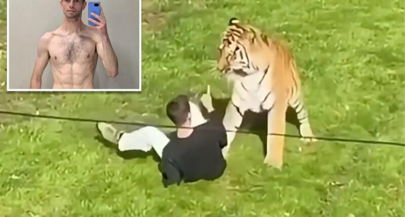 Former child actor mauled to death by tiger had ‘significant mental illness’ family says
