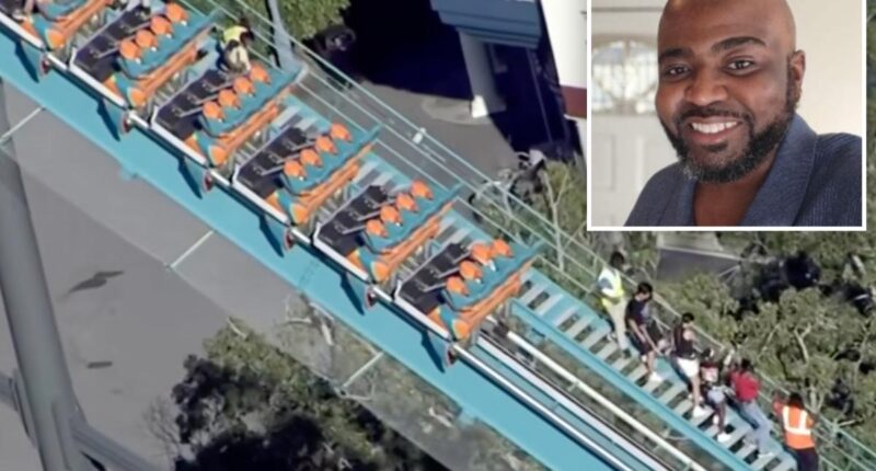 Four kids hospitalized after Six Flags dad Hassan Kariem struck riders as he plummeted from coaster: cops