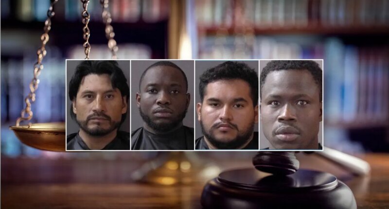 Four of 11 suspected sex offenders arrested in Indiana sting are illegal immigrants: DHS
