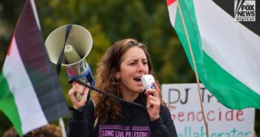 Israel haters admit what they really want