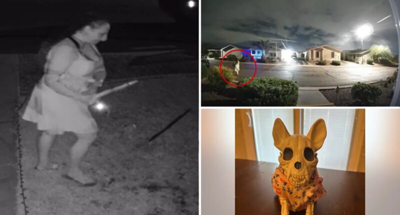Ghoulish thief caught on camera stealing Halloween decor from family's lawn: report