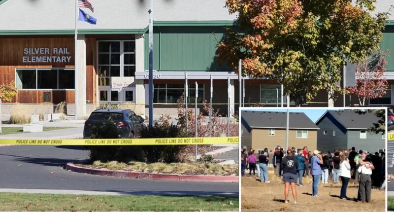 Hero bystander shot and killed Oregon elementary school teen gunman after deadly rampage: sources
