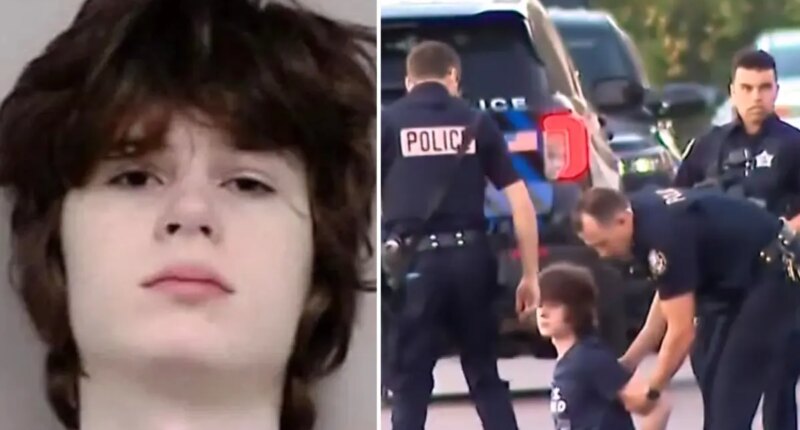 Hindu temple mass shooting thwarted after 'sociopathic white supremacist' teen's gun jammed near Chicago