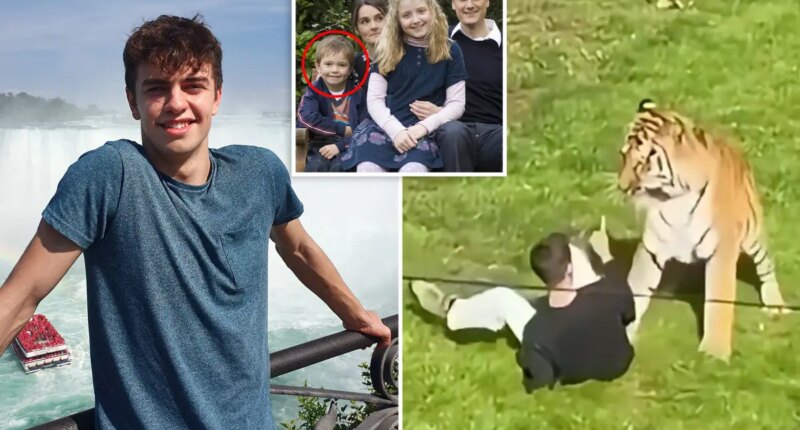 How William Chapman got into tiger enclosure before being mauled
