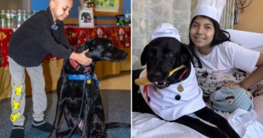 How dogs at NYC hospitals are helping heal sick kids