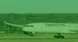 I was on the Qantas bed bug flight from hell: Airline ignored warnings