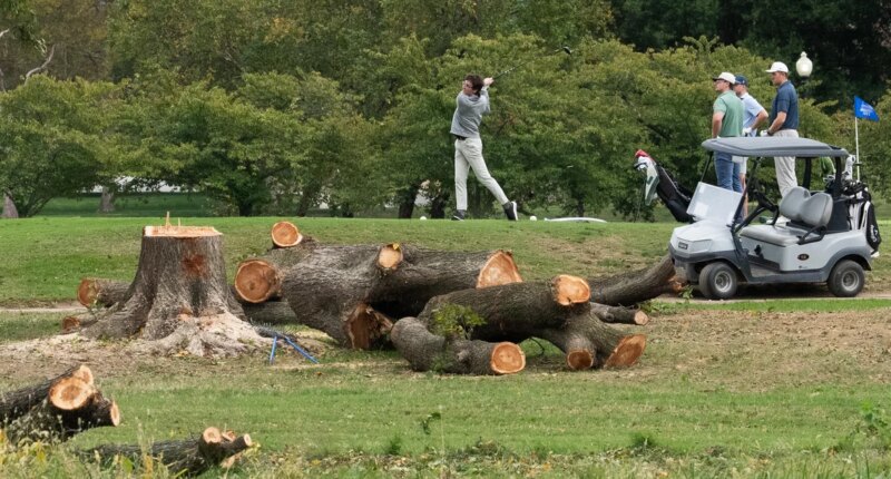 Judge chastises Justice Department lawyers after hundreds of trees cut down at D.C. golf course