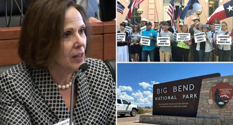 Judge temporarily blocks Trump administration from building border wall in Texas’ Big Bend region