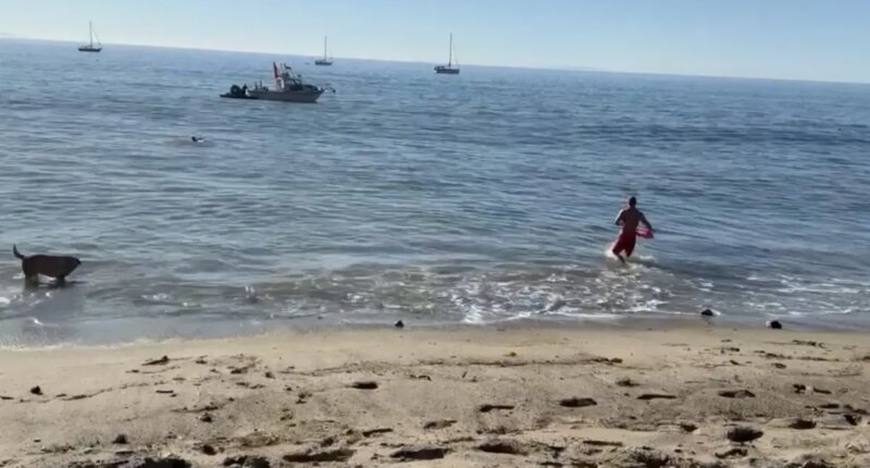 Kayaker attacked by a shark off Malibu as dramatic video emerges: report