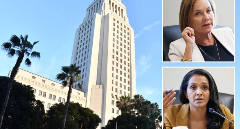 LA votes to fund public bank study despite $100M budget gap