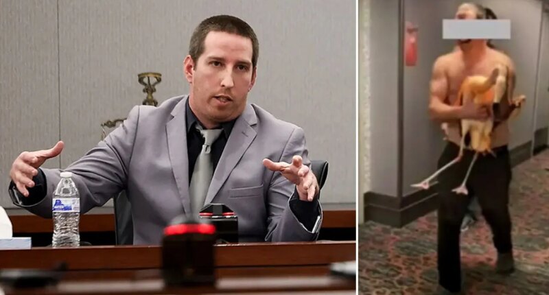 Las Vegas tourist accused of harming flamingo at iconic hotel in drunken encounter caught on video