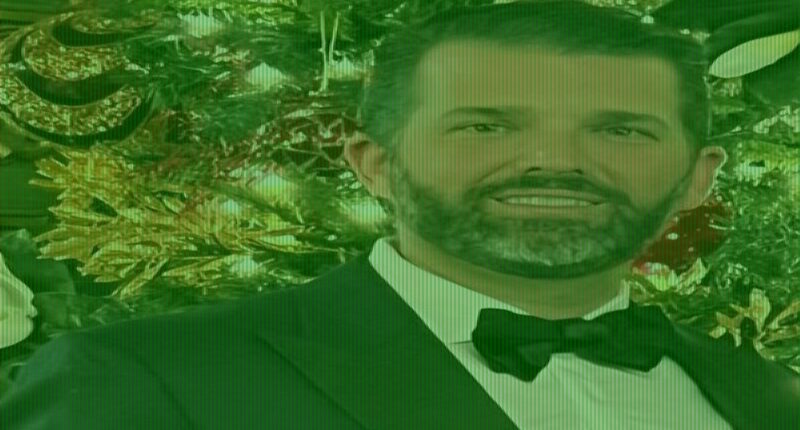 Leaked texts reveal truth of Kimberly Guilfoyle and Don Jr split