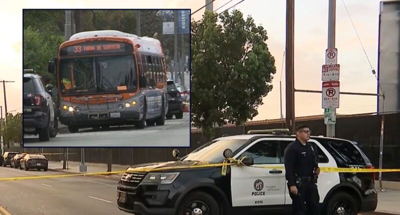 Little boy and girl shot dead by dad in broad daylight: Cops