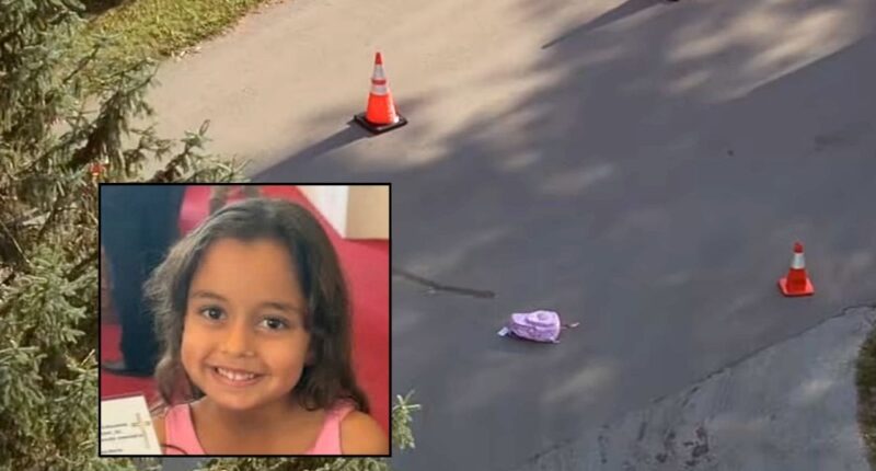 Inset: Jenna Menias. Background: The area in Frankfort, Ill., where Jenna Menias was allegedly struck and killed by a distracted school bus driver (WLS/YouTube).