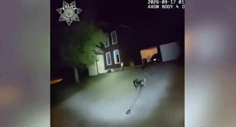 Loyal dog fetches police to help owner who fell at Kansas home