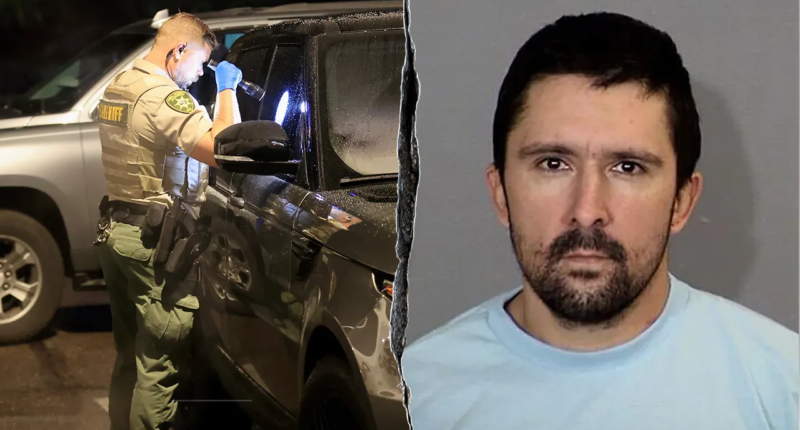 Luke Daley, briefly detained in Nancy Guthrie disappearance probe, arrested again