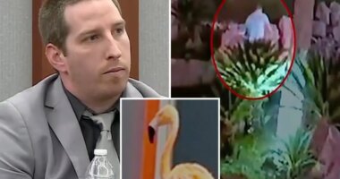 Man accused of stealing flamingo from Las Vegas Strip says he drank up to 40 beers before pulling off heist