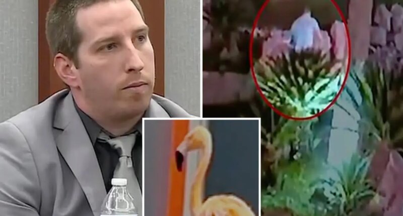 Man accused of stealing flamingo from Las Vegas Strip says he drank up to 40 beers before pulling off heist