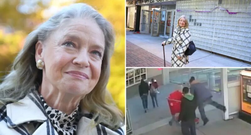 Marion Hedges returns to NYC 15 years after shopping cart attack