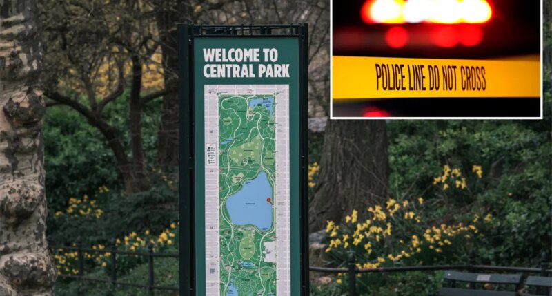 Masked trio robs female cyclist -- who fights back with metal water bottle -- in unprovoked Central Park violence