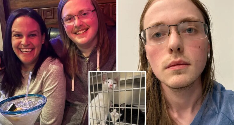 Massachusetts nutjob 'blew madre to pieces' after spat over mom's 84 fostered cats: report