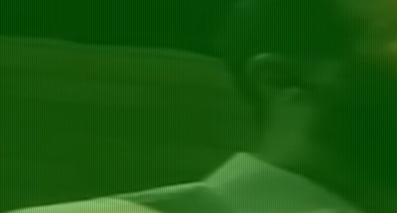 Melbourne Imam preaches that husbands could beat wives in unearthed video - as he calls out Australian law