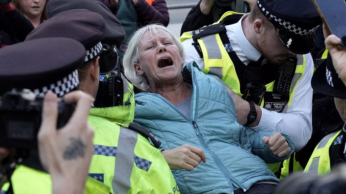 Met Police Arrest Palestine Action Protesters at US Embassy
