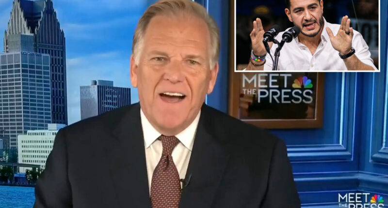 Mike Rogers dodges whether he's 'MAGA Republican'