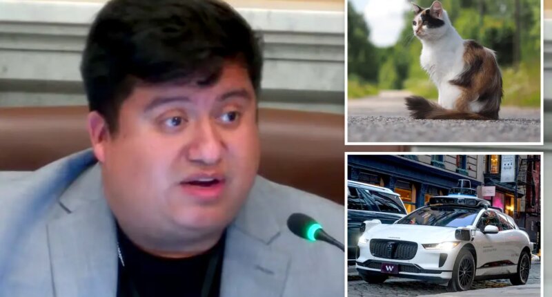 Minneapolis councilman mocked after claiming self-driving cars are 'murdering' pets