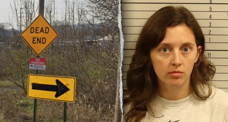 Mom accused of driving car off cliff with young kids inside, faces DUI, child neglect charges