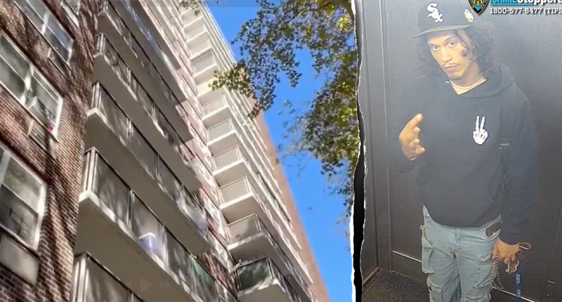 Mom dies shielding baby in horrific 15-story Bronx fall as police hunt suspect: report