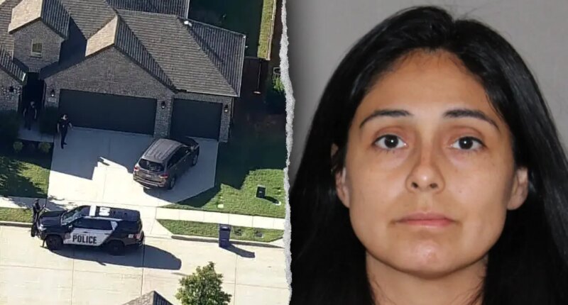 Mom goes on alleged stabbing spree against husband, toddler and 10-month-old baby