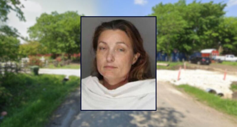 Mom shot and killed sons in middle of the night: Sheriff