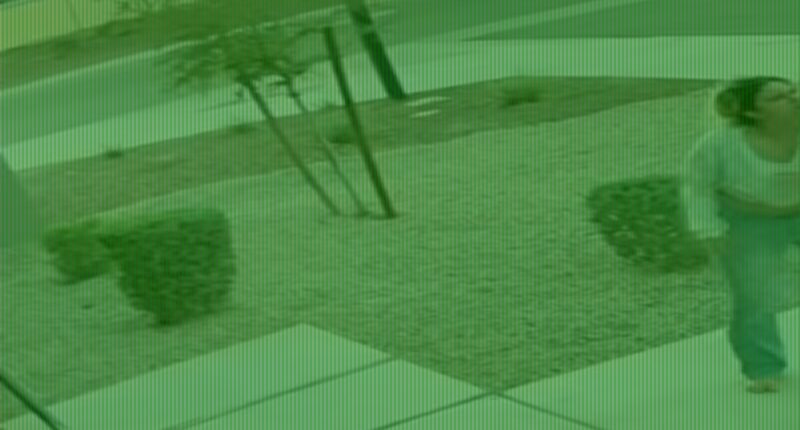 Moment mom fights off intruder who  grabbed her neck