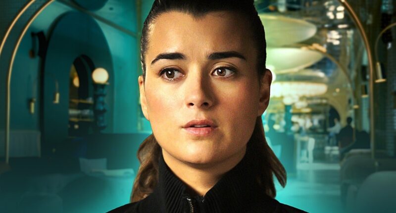 NCIS Season 24 Reveals What Happened To Several Tony & Ziva Characters