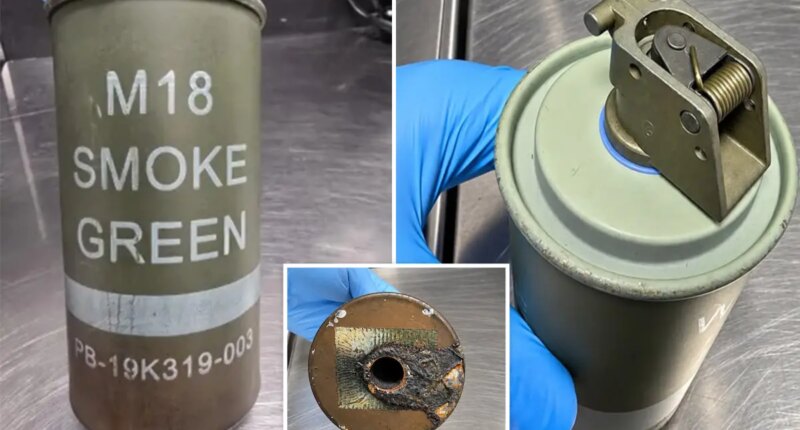 NY airport X-ray exposes dangerous weapon illegally concealed in passenger's carry-on