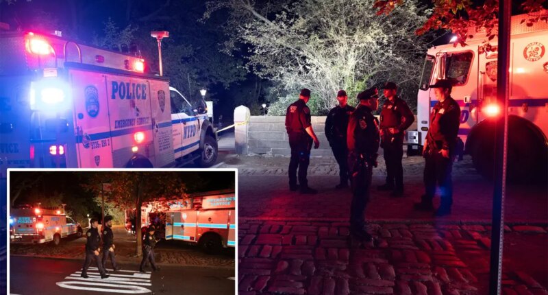 NYC woman sexually assaulted at knifepoint in Central Park: cops