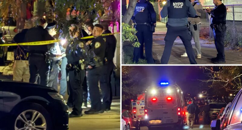 NYC woman stabs 3, before being blasted by cops during home invasion: sources